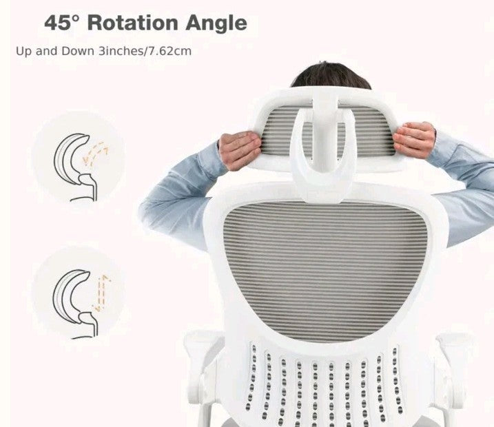 Ergonomic Office Chair, High Back Desk Chair with Flip-up Armrest