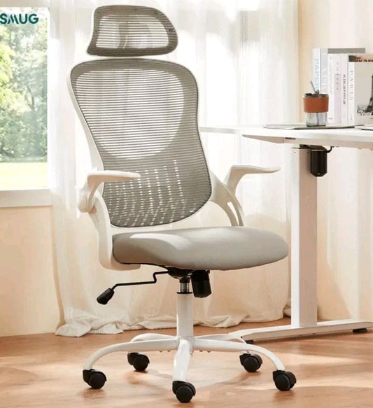 Ergonomic Office Chair, High Back Desk Chair with Flip-up Armrest