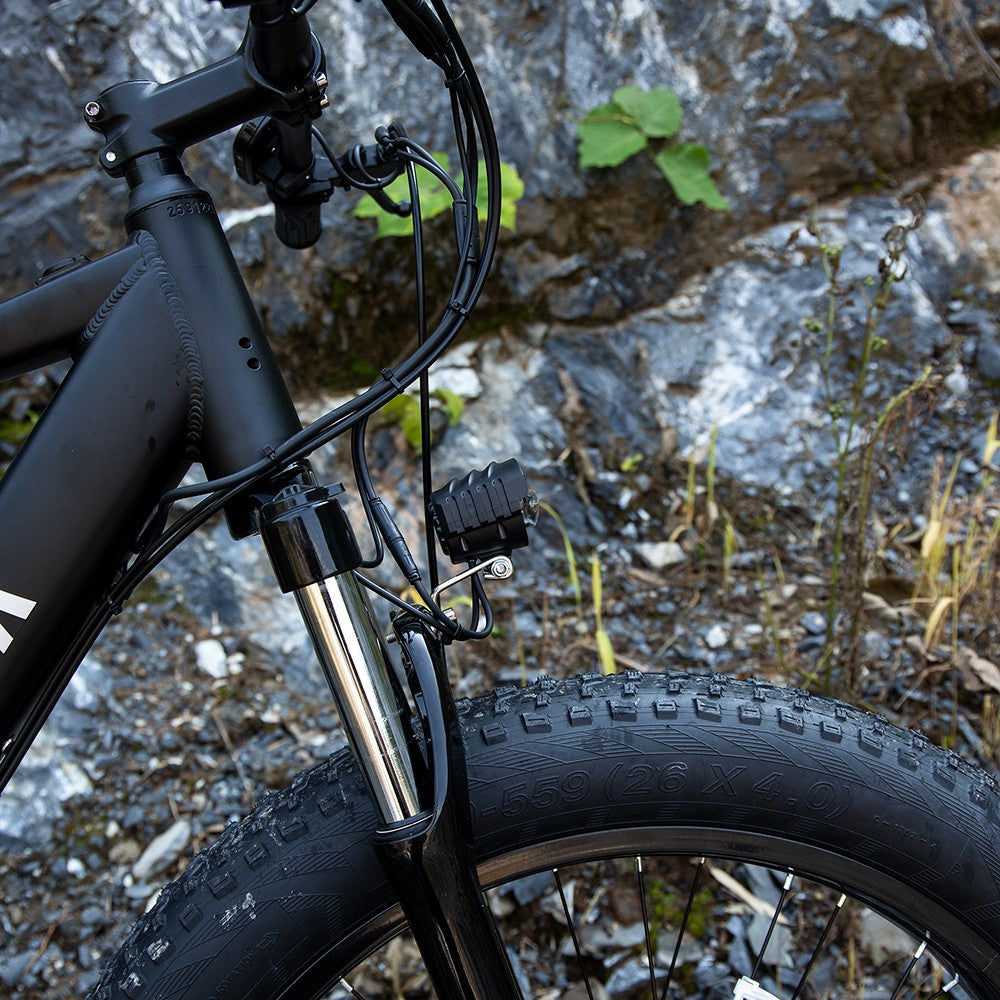 Professional Electric Bike For Adults, 26 X 4.0 Inches Fat Tire Electric Mountai