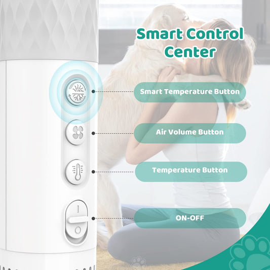 Brushless Motor Handheld Water Blower