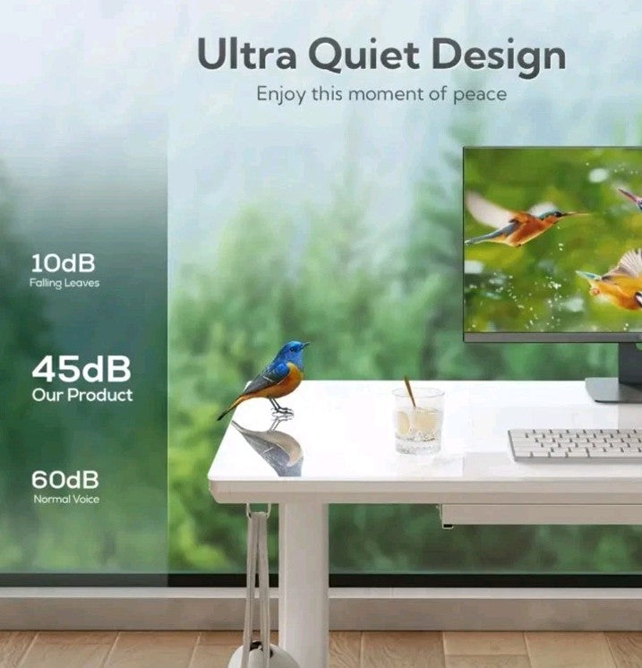 Electric Standing Desk