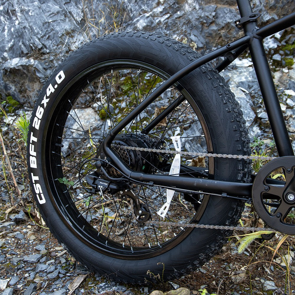 Professional Electric Bike For Adults, 26 X 4.0 Inches Fat Tire Electric Mountai