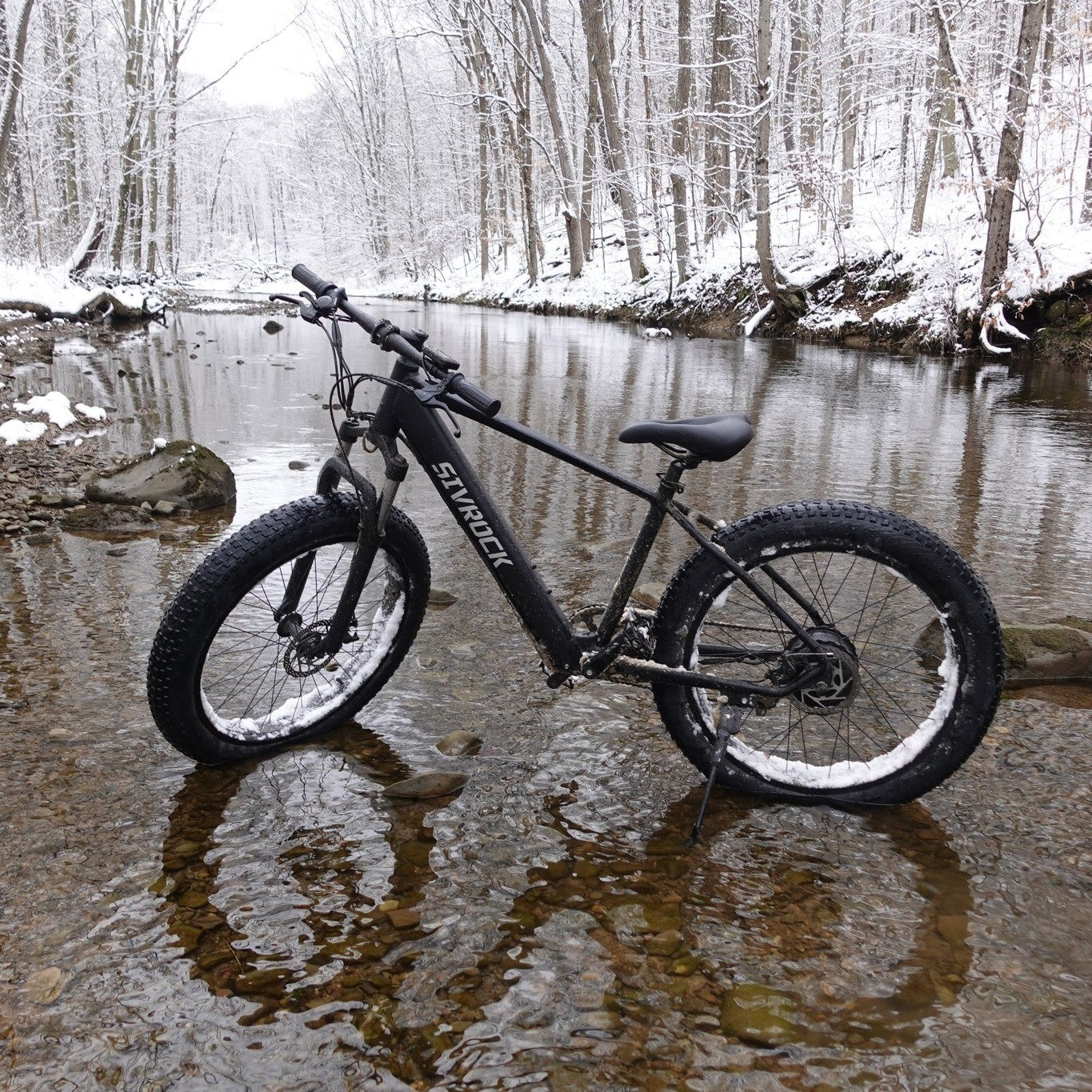 Professional Electric Bike For Adults, 26 X 4.0 Inches Fat Tire Electric Mountai