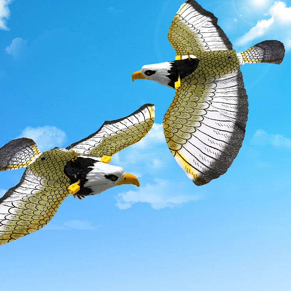 toys for indoor cats flying bird toy Flying Rc Bird Flying Eagle Toy Flying