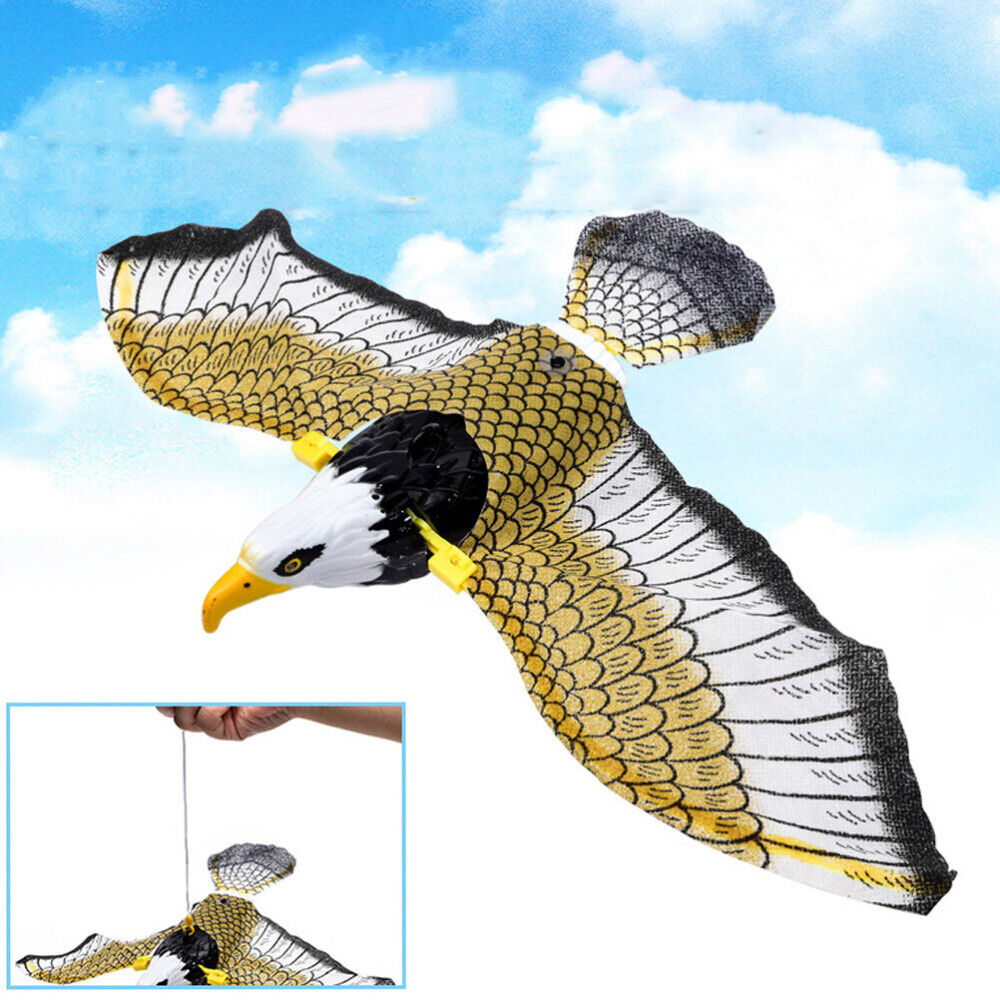 toys for indoor cats flying bird toy Flying Rc Bird Flying Eagle Toy Flying