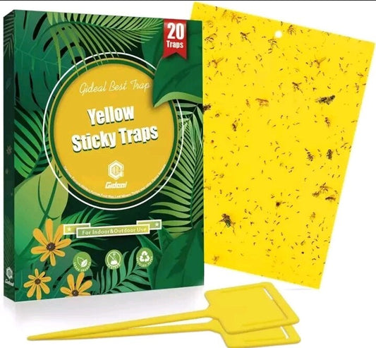 20-Pack Dual-Sided Yellow Sticky Traps for Flying Plant Insect Such as Fungus...