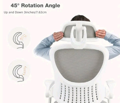 Ergonomic Office Chair, High Back Desk Chair with Flip-up Armrest