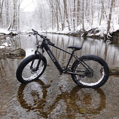 Professional Electric Bike For Adults, 26 X 4.0 Inches Fat Tire Electric Mountai