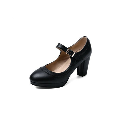 Womens Mary Jane Shoes Ankle Buckle Chunky Heels Pumps Round Toe Casual Shoes Sz