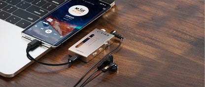 Fiio RR11 Retro Portable Stereo Radio FM/AMP dual modes/Aluminum body/Si4831